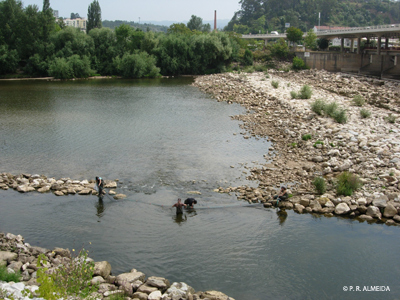 Fishing