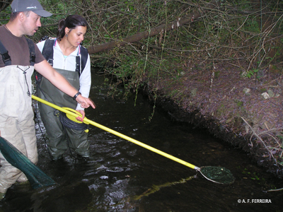 Electrofishing